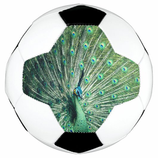 Peacock Strut Voetbal (Voorkant)