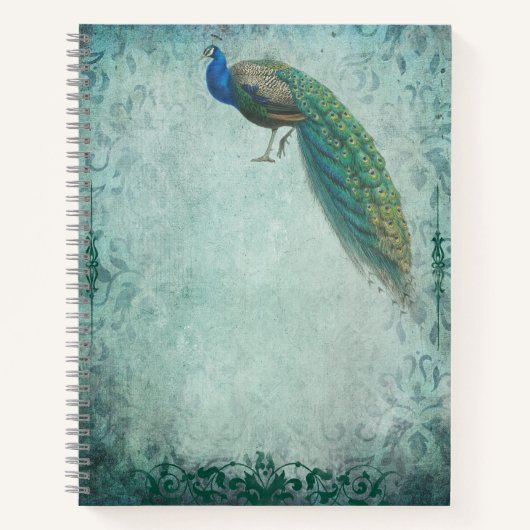 Peacock  Style Sketchbook Journal Notitieboek (Voorkant)