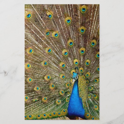 Peacock Tail Feathers Briefpapier (Voorkant)
