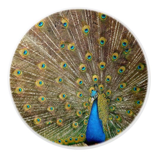 Peacock Tail Feathers Keramische Knop (Voorkant)