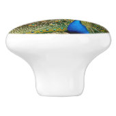 Peacock Tail Feathers Keramische Knop (Zijkant)