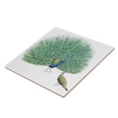  Peacock Tegeltje (Zijkant)