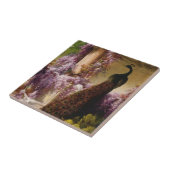 Peacock Tegeltje (Zijkant)