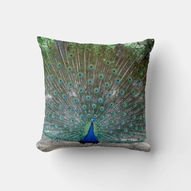 Peacock Throw kussen (Voorkant)