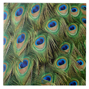 Peacock Tile Tegeltje