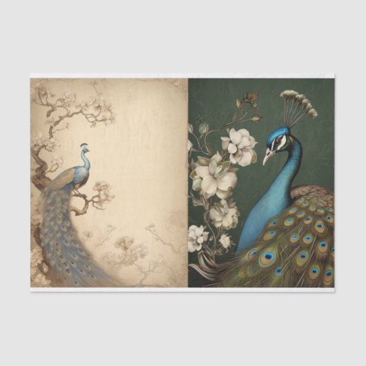 Peacock Tissue Page Tissuepapier (Voorkant)