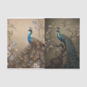 Peacock Tissue Page Tissuepapier