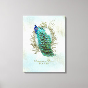 Peacock Turquoise Shabby - Toile Enveloppée