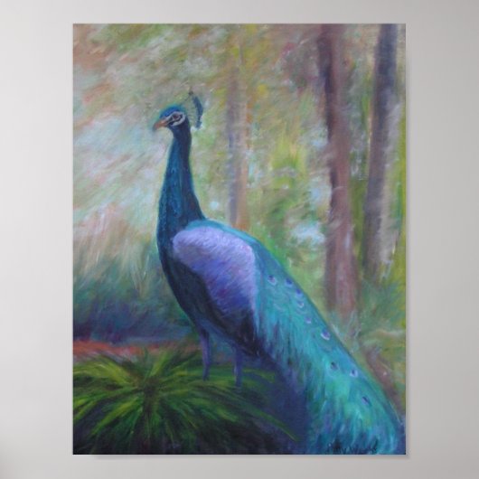 PEACOCK UIT DE STICHTING VAN HET JEUGD Poster (Voorkant)
