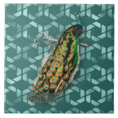Peacock van D'Orbigny Tegeltje (Voorkant)