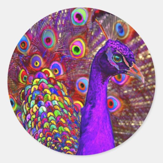 Peacock van een miljoen kleuren ronde sticker (Voorkant)