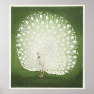 Peacock van Ohara Koson  Print Poster