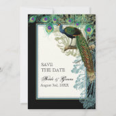 Peacock, Veer in Etchings sparen de Datum Save The Date (Achterkant)