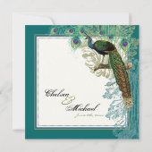 Peacock, veren in Etchings - Uitnodiging (Achterkant)