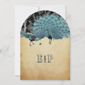 Peacock veren met pacocks kaart (Achterkant)