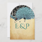 Peacock  veren met pacocks kaart (Achterkant)