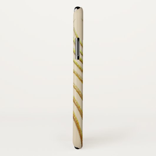 Peacock vether iPhone Case (Achterkant / rechts)