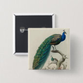 Peacock Vierkante Button 5,1 Cm (Voorkant /achterkant)