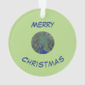 Peacock Visage & Plumes Poussière. Ornement (dos)