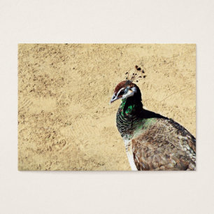 Peacock Visitekaartje