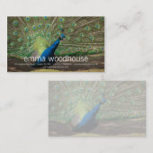 Peacock Visitekaartje (Voorkant / Achterkant)