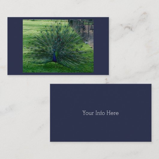 Peacock-Visitekaartjes Visitekaartje (Voorkant / Achterkant)