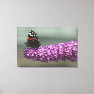 Peacock-vlinder op bloem canvas afdruk