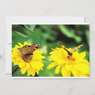 Peacock vlinders - Uitnodiging