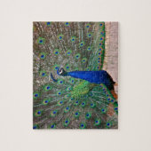 Peacock-vogel in volledig scherm legpuzzel (Verticaal)