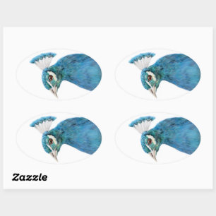 Peacock vogel sticker Ovaal