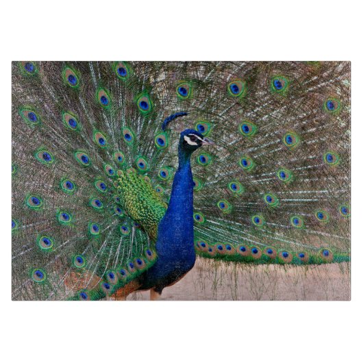 Peacock-vogeldisplay Snijplank (Voorkant)