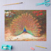 Peacock - vogelvrij vlindervliegenpapier tissuepapier (Craft)