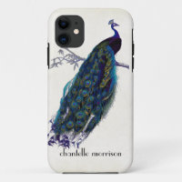 Peacock, volledige veren op gespannen kant