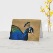 Peacock wenskaarten - blanco aanpasbaar kaart (Gele Bloem)