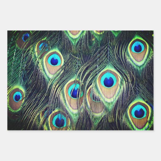 Peacock Wrapping Paper (Voorkant 3)
