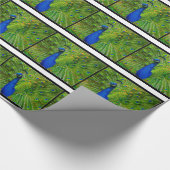 Peacock Wrapping Paper Cadeaupapier (Hoek)