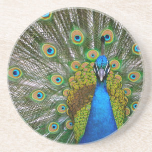 Peacock Zandsteen Onderzetter