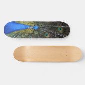Peacockbord Skateboard (Horizontaal)