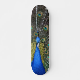 Peacockbord Skateboard