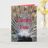 Peacockbutt card2-past om het even welke kaart (Gele Bloem)