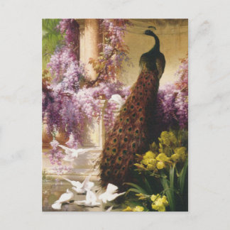 Peacocks en duiven briefkaart