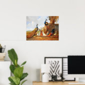 Peacocks en Poster van kippen (Thuiskantoor)