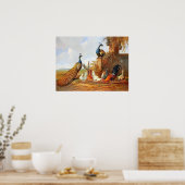 Peacocks en Poster van kippen (Keuken)