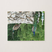 Peacocks Oiseaux Jardin Photo Puzzle avec boîte ca (Horizontal)