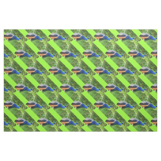 Peacocks Stof (Fat Quarter)