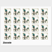 Peacocks Vierkante Sticker (Vel)