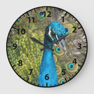 Peacocks Vogelklok Grote Klok