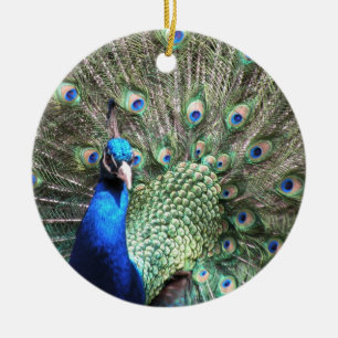 Peacocksierplant Keramisch Ornament