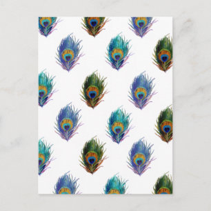 Peacockvederpatroon Briefkaart