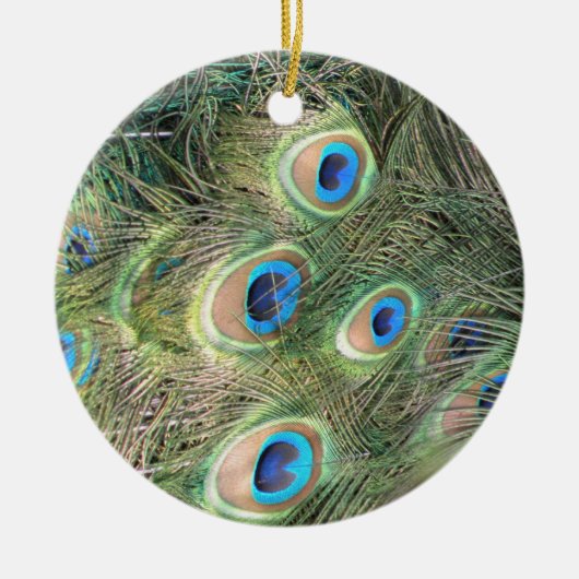 Peacockveren ornament (Voorkant)